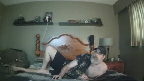 Snapshot of straightbear4you chatting on February 20, 2025, 11:54 pm Straightbear4you online show from February 20, 2025, 11:54 pm