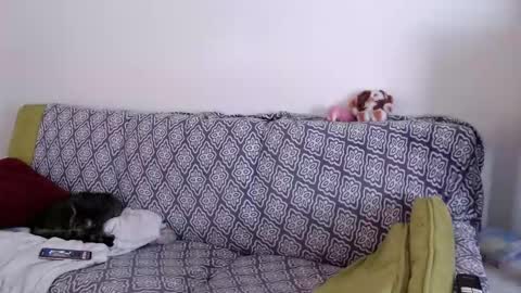 Strawberrylotsacake online show from March 26, 2026, 1:49 pm