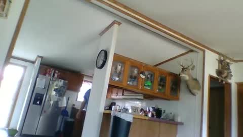 strokenmycock78 online show from March 28, 2026, 8:08 pm