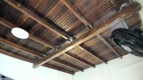 Alexa   online show from February 2, 2026, 10:58 am