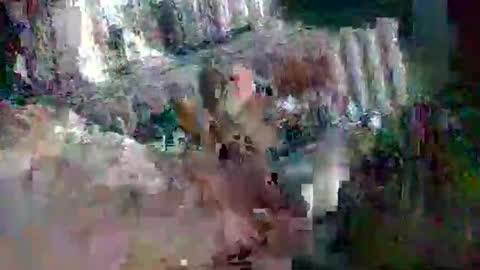 Snapshot of stud_1975 chatting on March 2, 2025, 8:05 am stud_1975 online show from March 2, 2025, 8:05 am