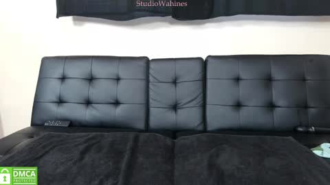 StudioWahines online show from January 29, 2025, 10:11 pm