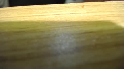 subswitchuser online show from January 15, 2025, 6:08 pm