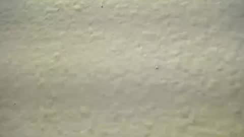 subswitchuser online show from October 3, 2025, 1:52 pm