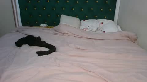 sugarboogers_ online show from February 12, 2026, 2:50 am