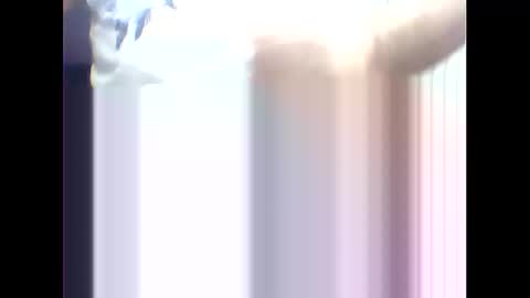 suleyman38 online show from February 17, 2025, 12:16 pm