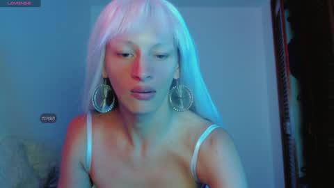 Summer online show from January 1, 2025, 12:11 am