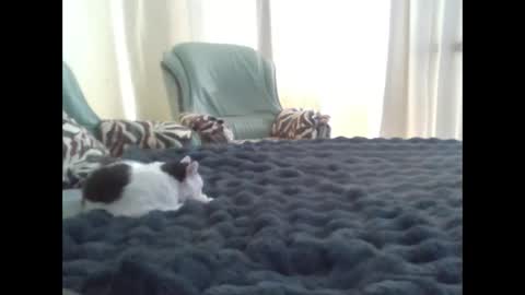 suni online show from March 10, 2025, 11:42 am