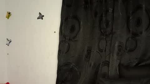 Annie online show from January 10, 2025, 12:17 am