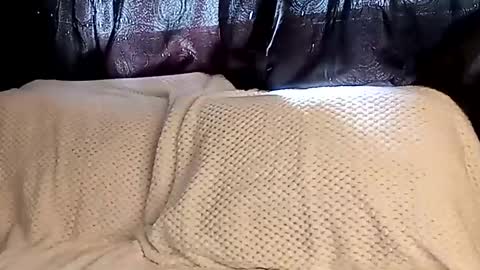 Annie online show from March 8, 2025, 7:42 pm