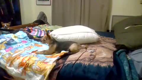 Suntroll online show from June 10, 2026, 8:24 am