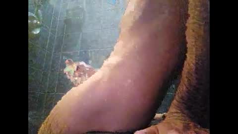 surferxzx online show from January 27, 2025, 12:54 am