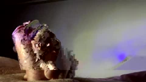 surgenz73 online show from January 16, 2026, 2:37 am