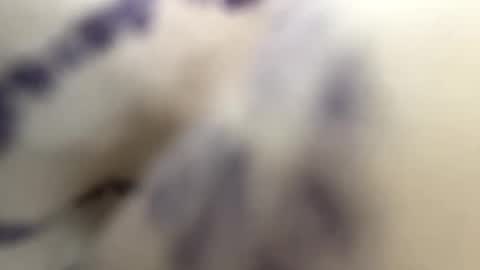 Andy online show from January 30, 2025, 9:58 pm