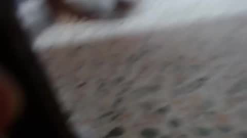 Suxxxy online show from January 29, 2025, 3:04 pm