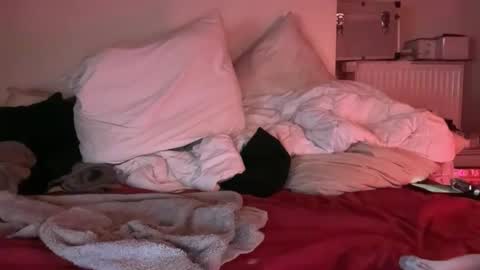 Horny French Arab online show from March 25, 2026, 5:24 am