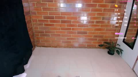 Stephanie online show from February 8, 2025, 2:27 pm