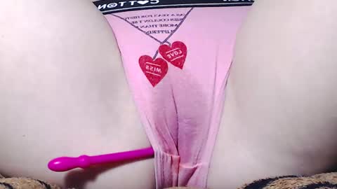 Kitten online show from March 5, 2025, 5:50 am