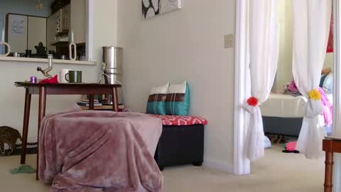 Heidi Brenner - Please check bio for schedule  FAQ online show from October 10, 2025, 2:05 pm