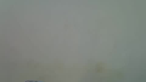 Alura online show from November 30, 2025, 9:02 am