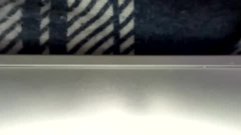 Sweetbear online show from January 31, 2026, 7:11 pm