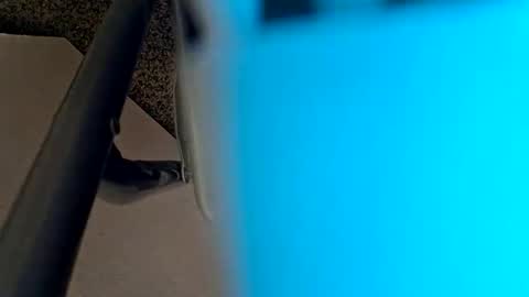 Snapshot of sweetboy842 chatting on January 28, 2025, 2:32 am sweetboy842 online show from January 28, 2025, 2:32 am