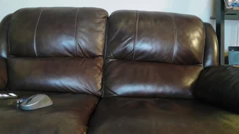 sweetcocksean online show from February 20, 2026, 11:11 am