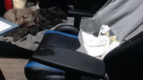 sweetgesus online show from November 6, 2025, 3:57 pm