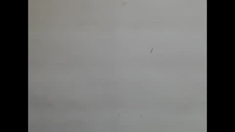 sweetnectarx online show from November 8, 2025, 4:40 pm