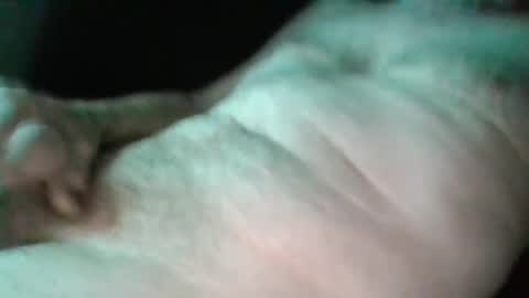 Snapshot of sweetpussylicks chatting on February 17, 2025, 3:04 am sweetpussylicks online show from February 17, 2025, 3:04 am