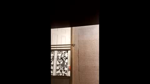 syevecrl online show from February 4, 2026, 11:31 pm