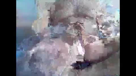 Syme online show from November 8, 2025, 11:03 pm