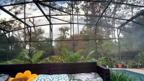 Jennah online show from December 17, 2025, 9:43 pm