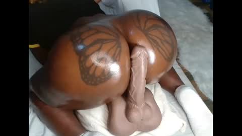 butterflyass online show from February 8, 2025, 1:54 pm