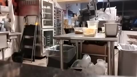 The Man of Steel online show from September 10, 2025, 2:44 am