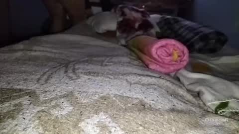 tangaxhentai3 online show from January 6, 2025, 12:48 am