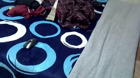 tastie_t online show from November 1, 2025, 6:04 am