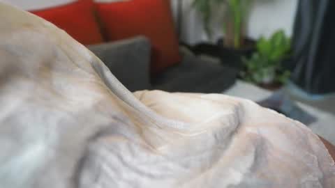 Snapshot of tasty_tomato chatting on February 21, 2025, 8:40 am RHEA pronanciation like Reya online show from February 21, 2025, 8:40 am