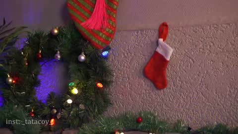 TataCoy online show from January 11, 2025, 7:06 am