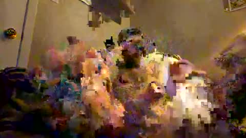 Snapshot of tatt2dood chatting on November 17, 2025, 3:34 am tatt2dood online show from November 17, 2025, 3:34 am