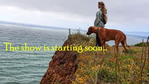 TATUM  ALL MY LINKS  online show from February 28, 2026, 12:00 am