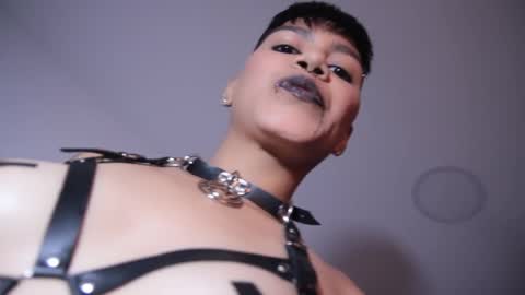 Taylor online show from December 16, 2024, 6:27 pm