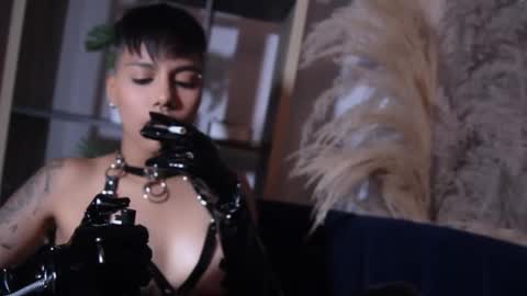 Taylor online show from October 7, 2025, 7:00 pm