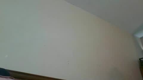 Snapshot of taylorhillz chatting on December 5, 2024, 4:55 pm Taylor Hillz online show from December 5, 2024, 4:55 pm