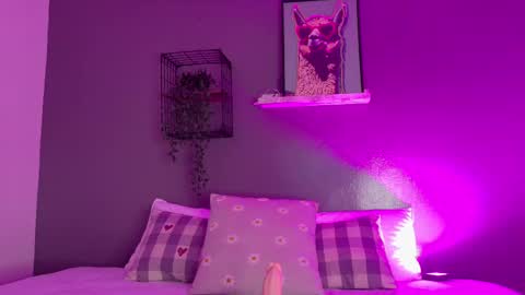 TAYLOR  online show from November 18, 2025, 11:47 am