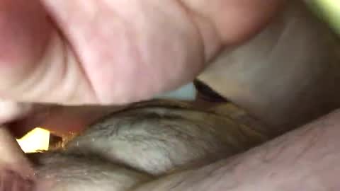 Tbiz82 online show from February 27, 2025, 5:24 am