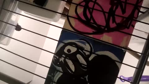 Luis online show from February 10, 2025, 8:20 am