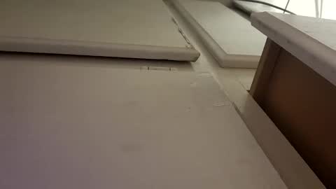 Luis online show from October 6, 2025, 10:02 am