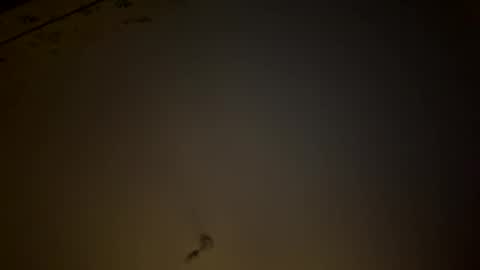 Snapshot of teecup4osk chatting on February 8, 2026, 4:38 am teecup4osk online show from February 8, 2026, 4:38 am