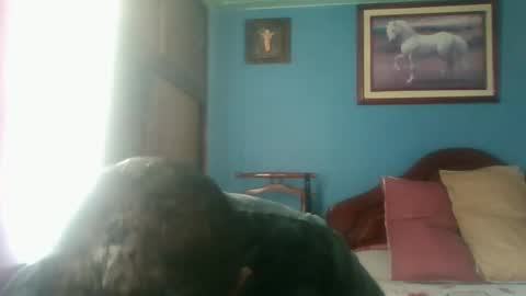 Snapshot of tender_eldelatienda chatting on January 3, 2025, 4:59 pm Fabio Canavaro online show from January 3, 2025, 4:59 pm